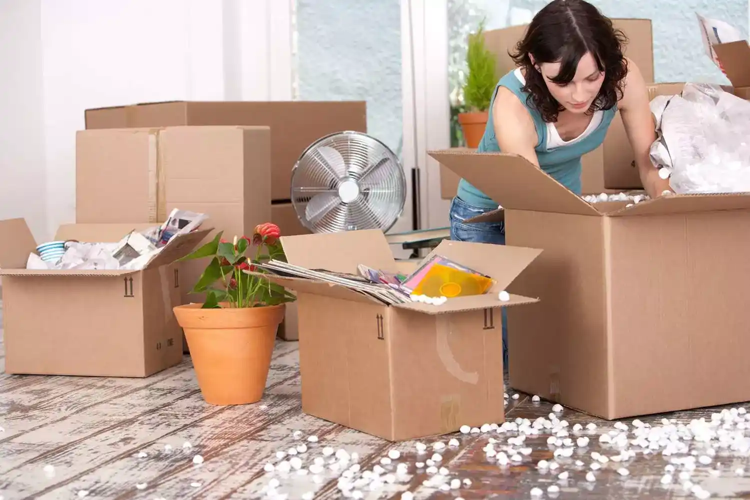 Packing and unpacking Services